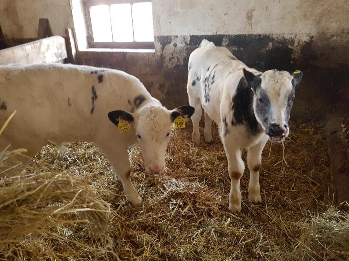 Ferienwohnung Mit Bauernhofflair Löbau Esterno foto