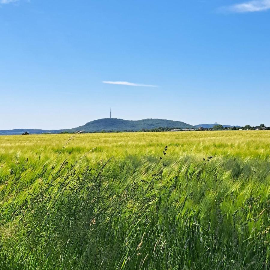 Ferienwohnung Mit Bauernhofflair Löbau Esterno foto
